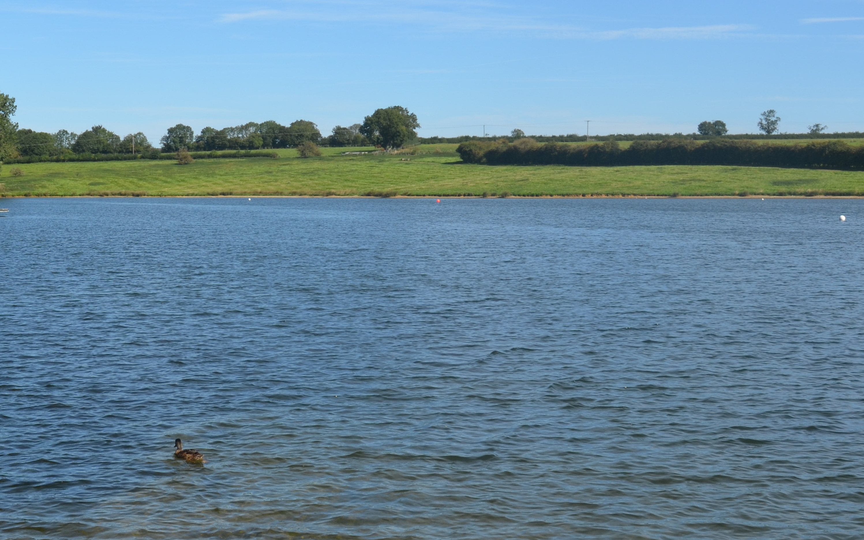 Rutland Water, Whitwell Creek NatureSpot